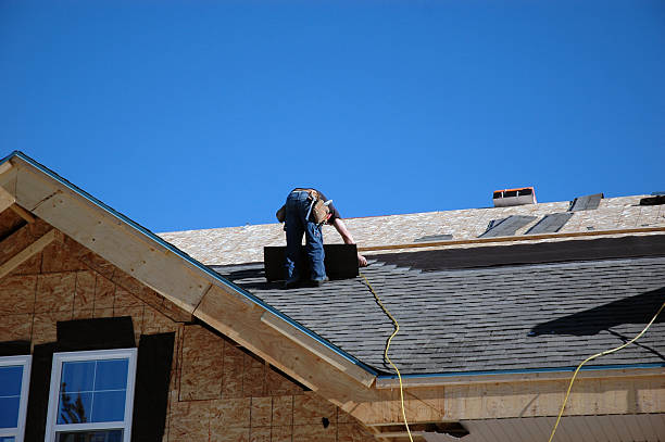 Best Roof Moss and Algae Removal  in Kermit, TX